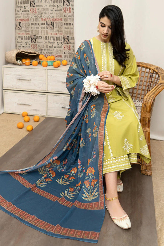 DHANAK 3 PIECE EMBRIODED