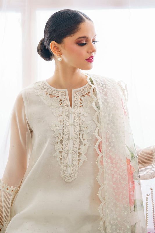 Barqoue Wedding hit collection